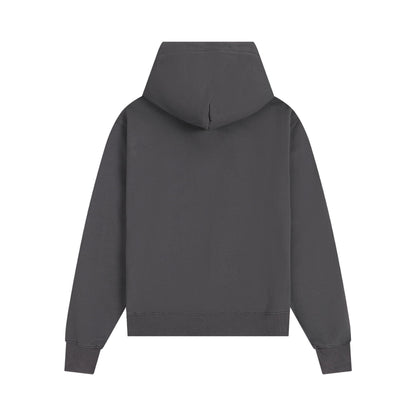 Ami Hoddie 302